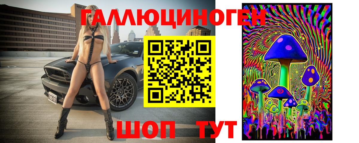 Галлюциногенные грибы Psilocybine cubensis Шадринск