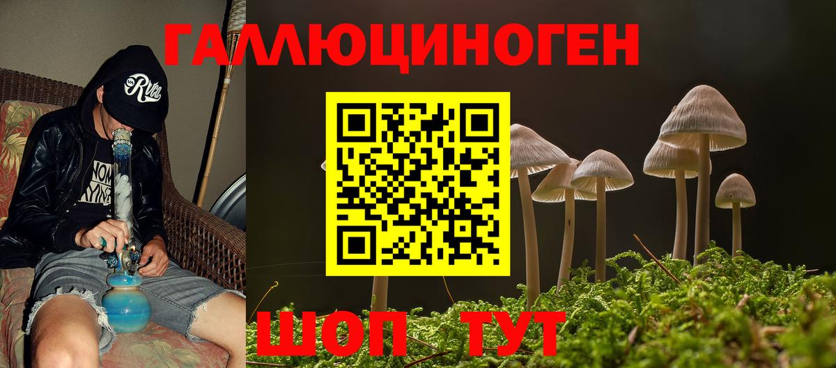 Шадринск  Псилоцибиновые грибы MAGIC MUSHROOMS  Вход с VPN 